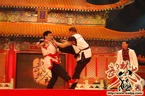 中华武术八极拳