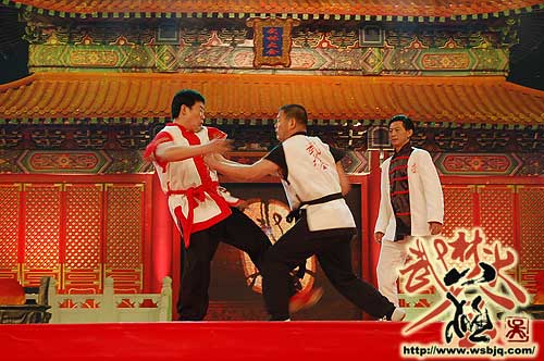 中华武术八极拳