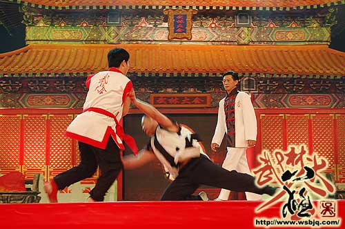 中华武术八极拳