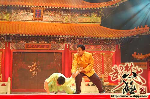 中华武术八极拳