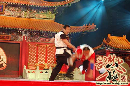 中华武术八极拳