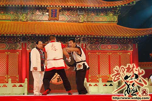 中华武术八极拳