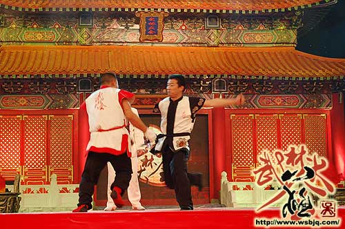 中华武术八极拳