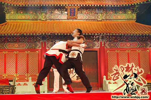 中华武术八极拳