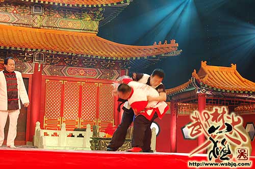 中华武术八极拳