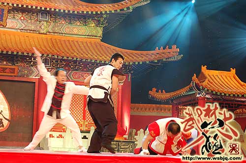 中华武术八极拳