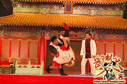 中华武术八极拳