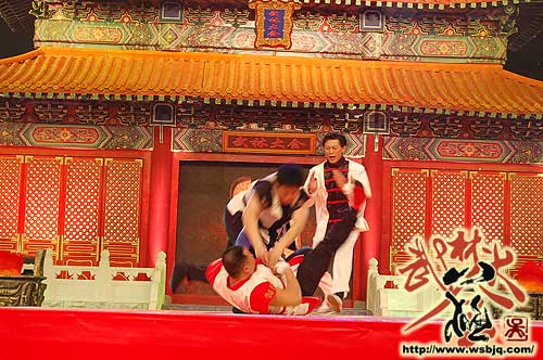 中华武术八极拳