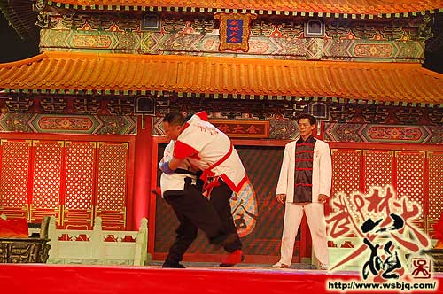 中华武术八极拳