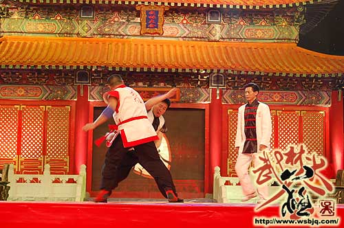 中华武术八极拳