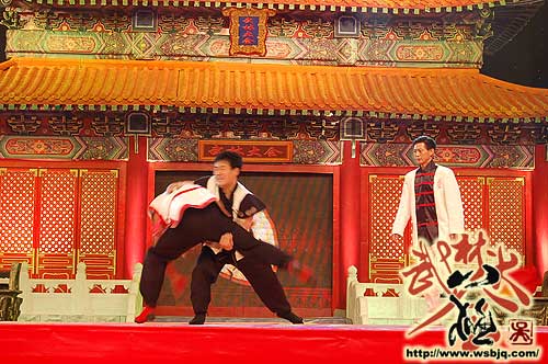 中华武术八极拳