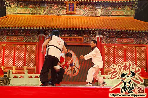 中华武术八极拳