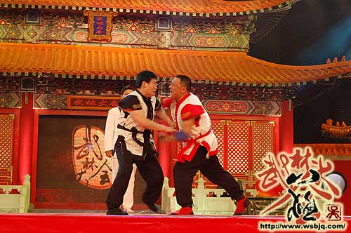 中华武术八极拳