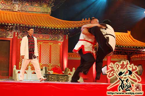 中华武术八极拳