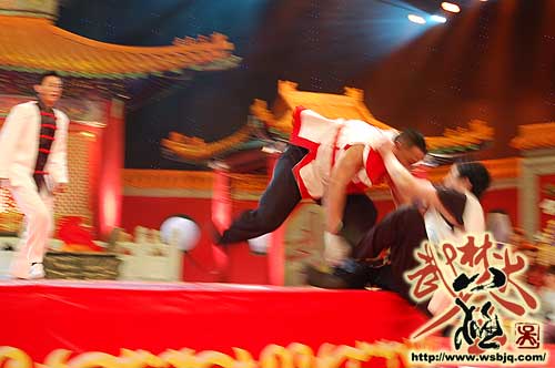 中华武术八极拳