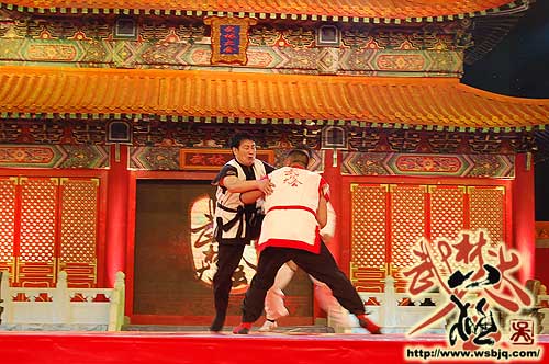 中华武术八极拳