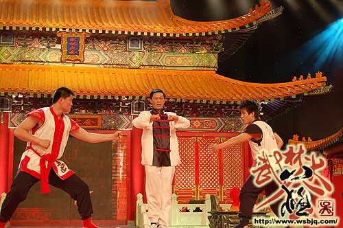 中华武术八极拳