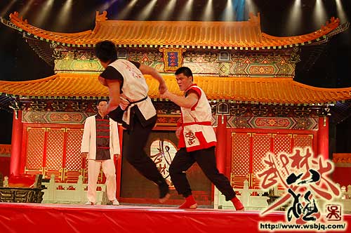 中华武术八极拳