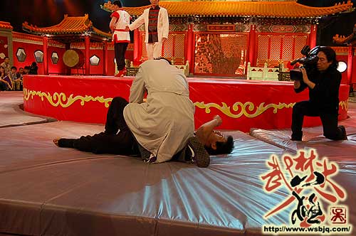 中华武术八极拳