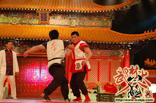 中华武术八极拳