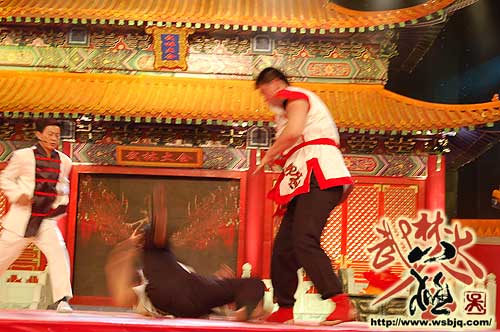 中华武术八极拳