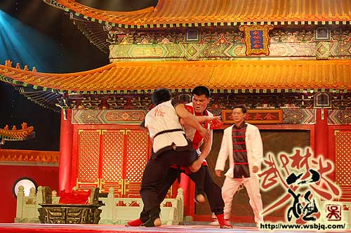 中华武术八极拳