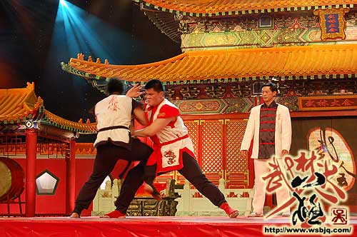 中华武术八极拳