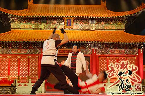 中华武术八极拳