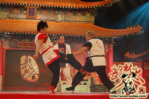 中华武术八极拳