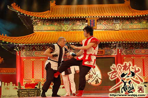 中华武术八极拳