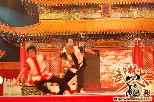 中华武术八极拳