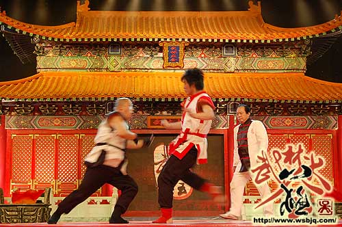 中华武术八极拳