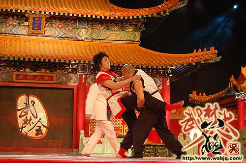 中华武术八极拳