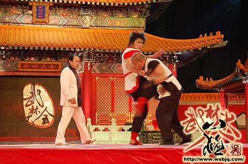 中华武术八极拳