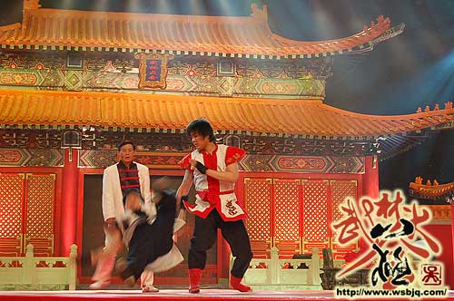 中华武术八极拳