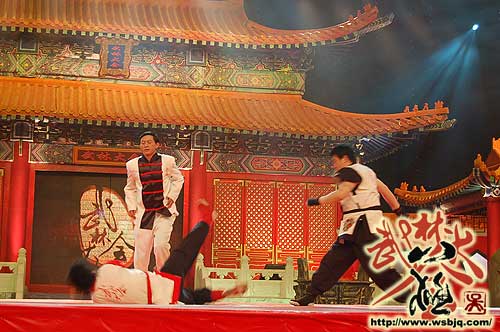 中华武术八极拳