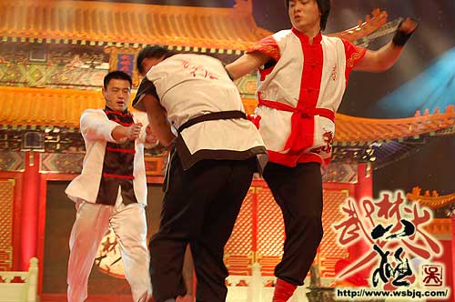 中华武术八极拳