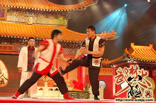 中华武术八极拳