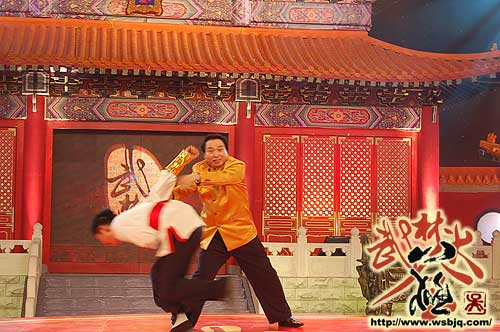 中华武术八极拳