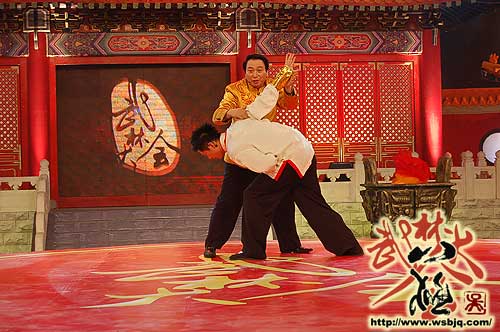 中华武术八极拳