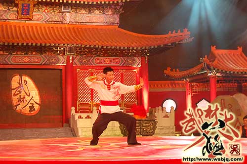 中华武术八极拳