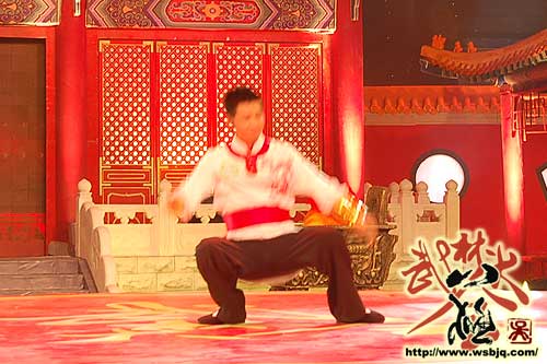 中华武术八极拳