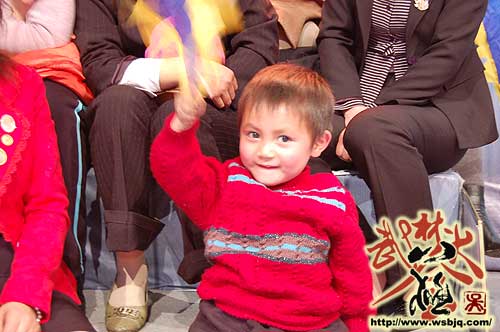 中华武术八极拳