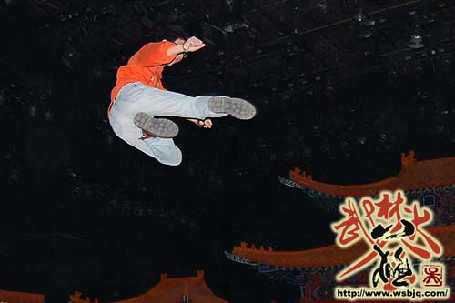 中华武术八极拳