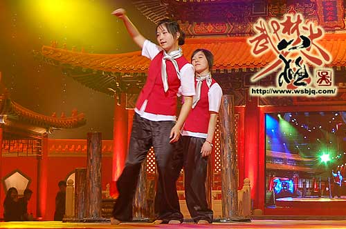 中华武术八极拳