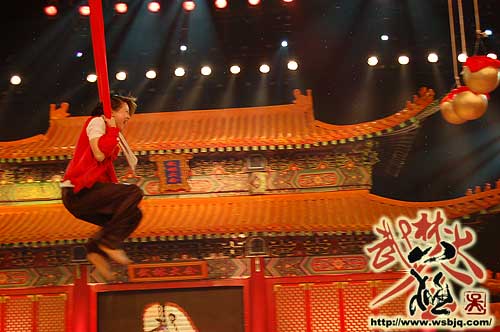 中华武术八极拳