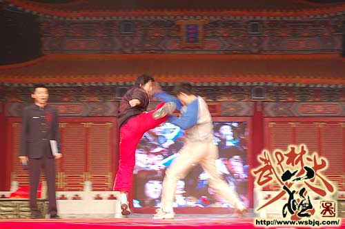 中华武术八极拳