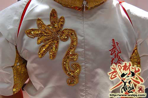 中华武术八极拳