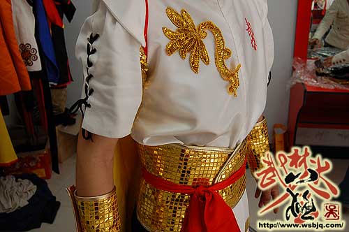 中华武术八极拳