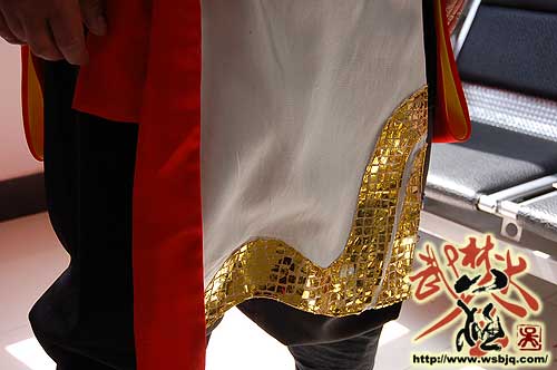 中华武术八极拳